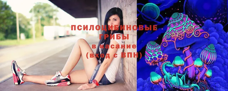 МЕГА ТОР  Добрянка  Псилоцибиновые грибы Psilocybine cubensis 